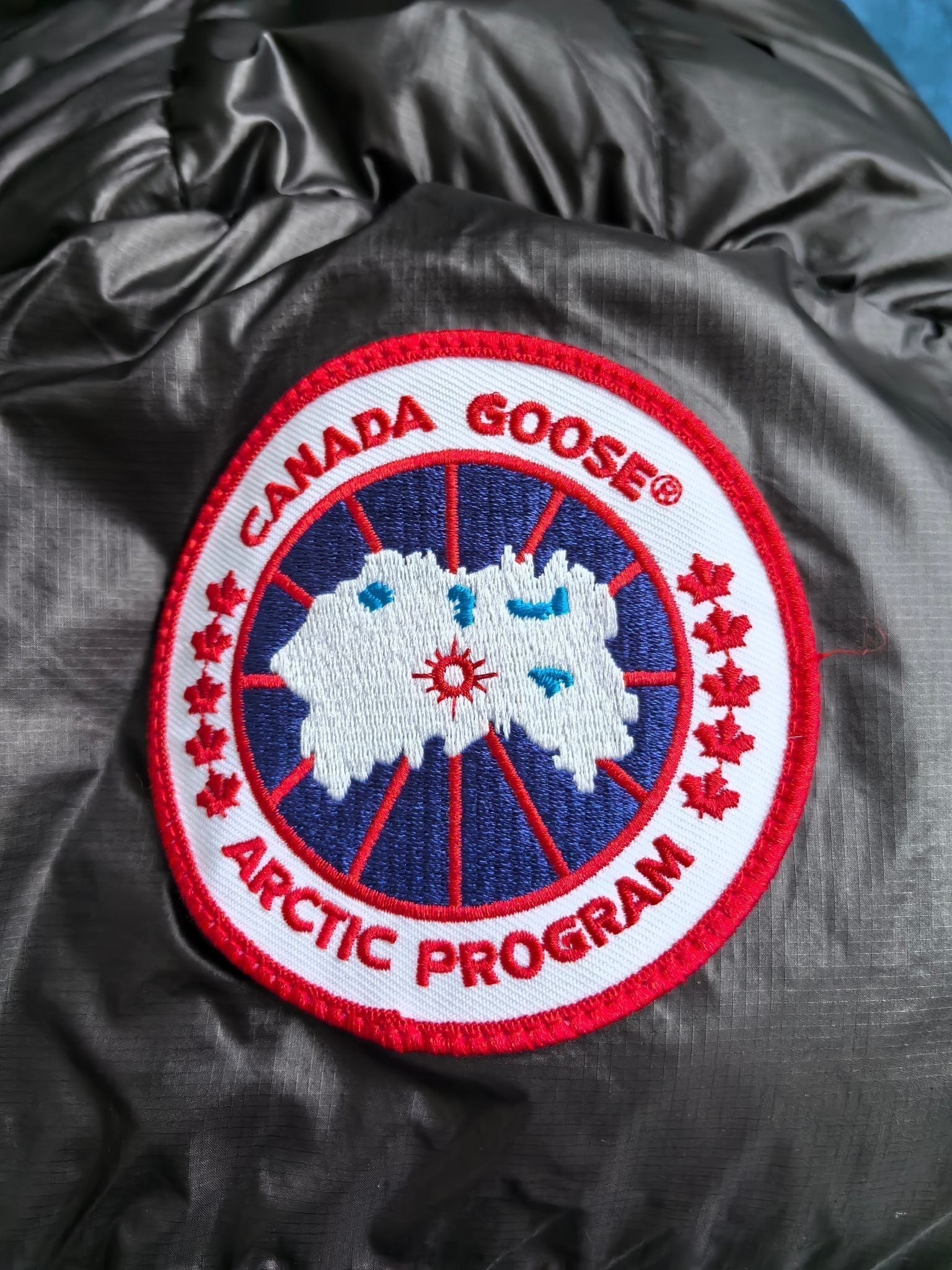 Glossy Down Jacket