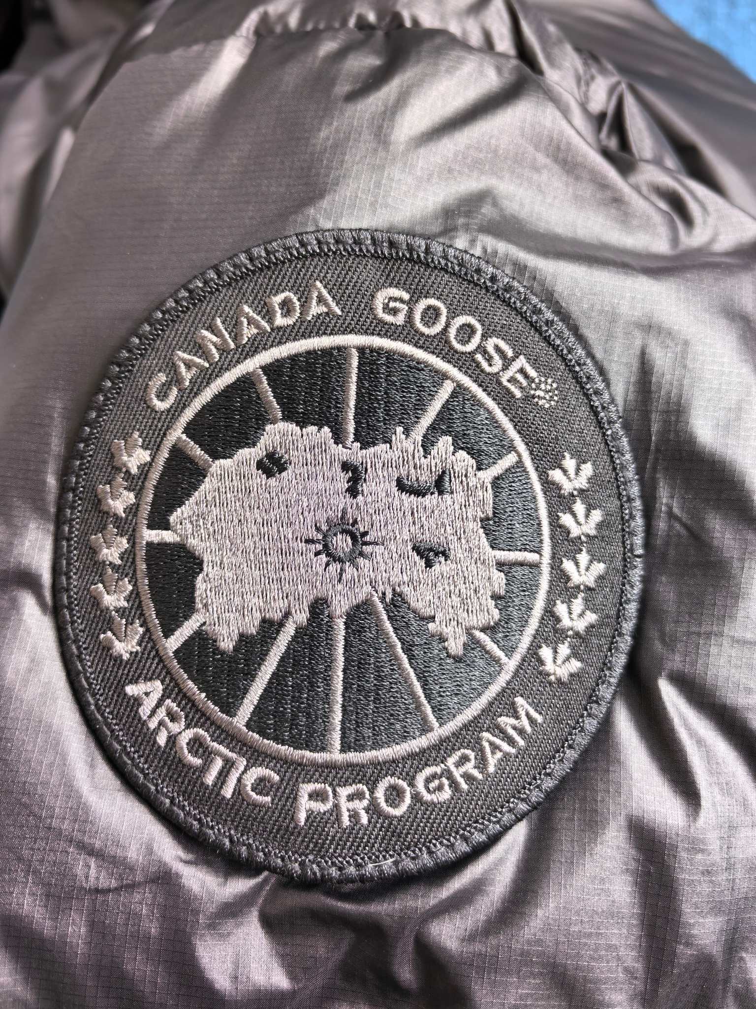 Glossy Down Jacket